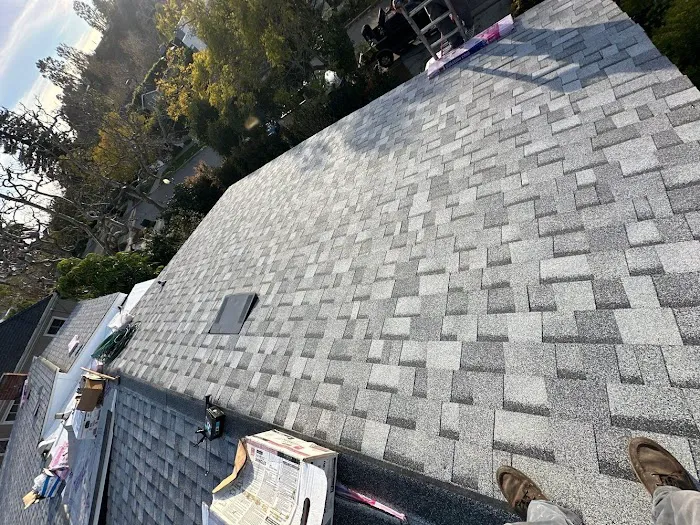 Terrazas Roofing Picture 1