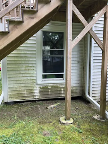 Extreme Exterior Cleaning Inc Picture 8