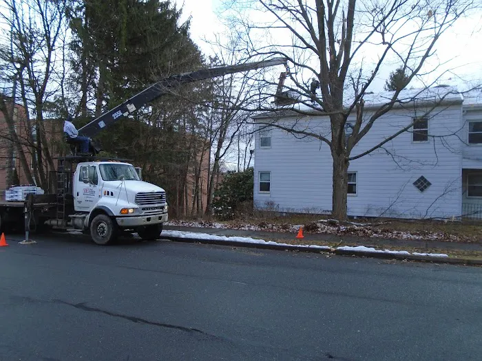 Heritage Roofing Systems Picture 4