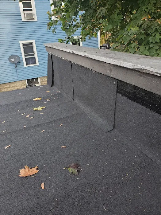 Renegade Roof Repair Picture 4