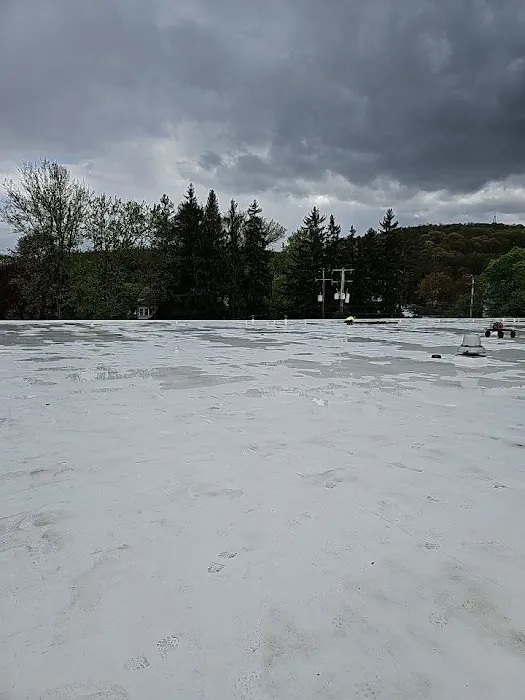 768 Roof Picture 1