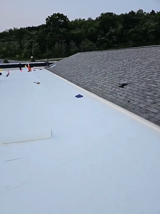768 Roof Picture 2
