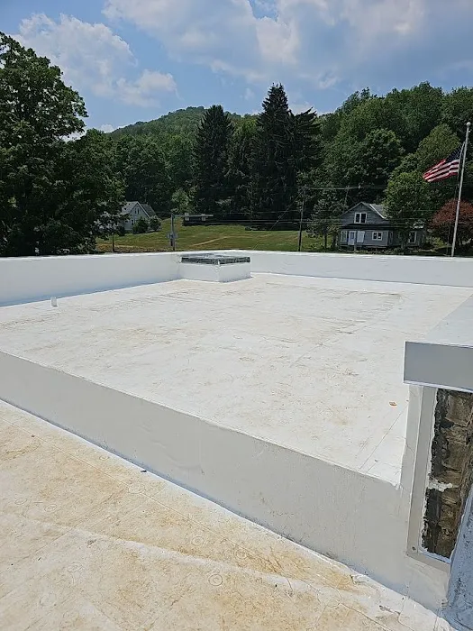 768 Roof Picture 3