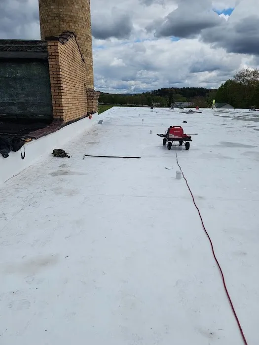 768 Roof Picture 6