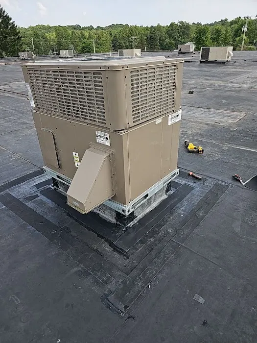 768 Roof Picture 10