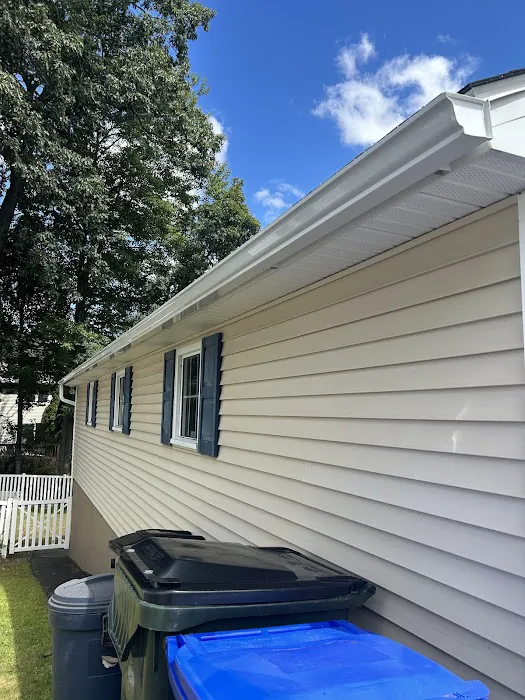 Absolute Gutters Picture 5