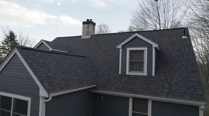 Tall Pine Roofing Picture 9