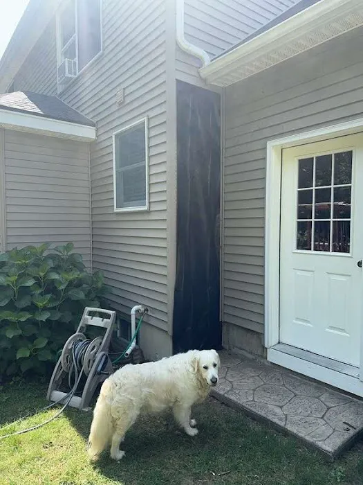 Ideal Siding Dover Picture 4