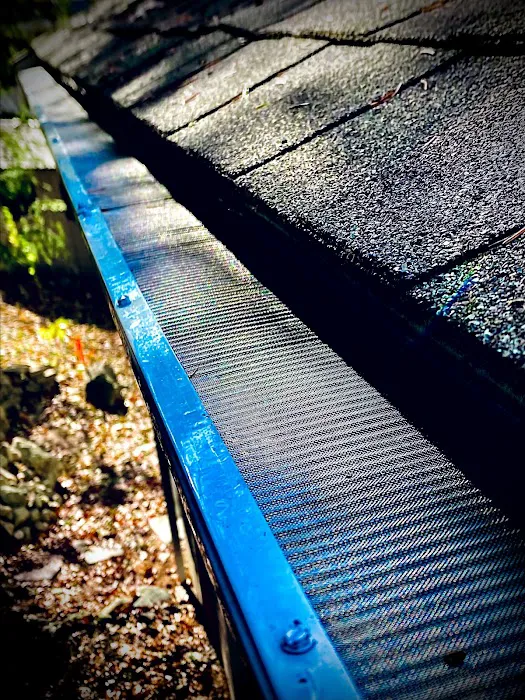 EngComfort Gutter Services Picture 1