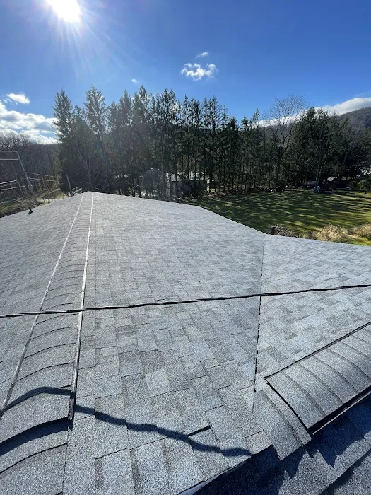 Appalachia Roofing Picture 4