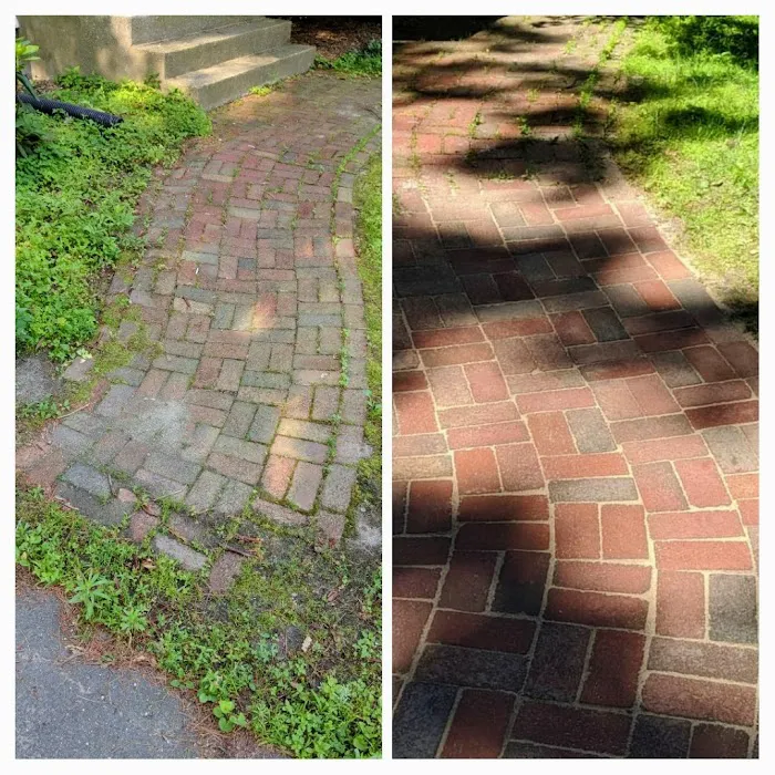 Whatever You Need Picture 10