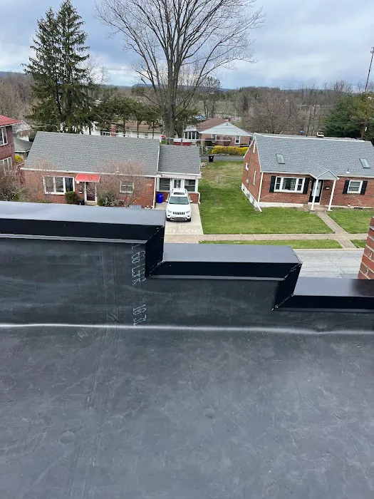 Ryan's Roofing Picture 5
