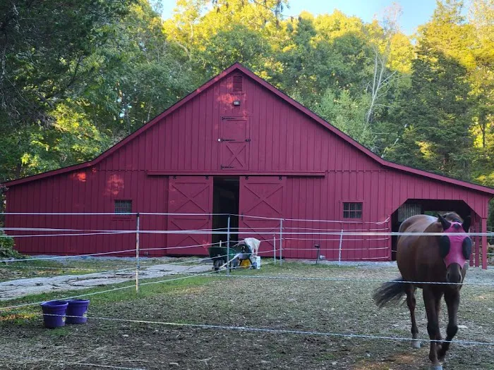 Sa Painting & Home Improvement Picture 5