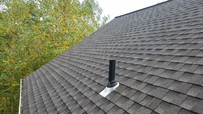Superior Roof Cleaning Picture 3