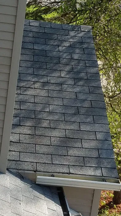 Superior Roof Cleaning Picture 6