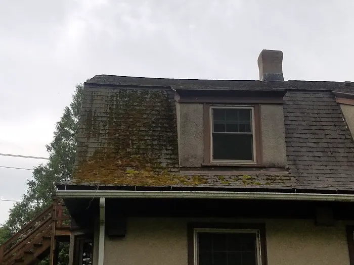 Superior Roof Cleaning Picture 4