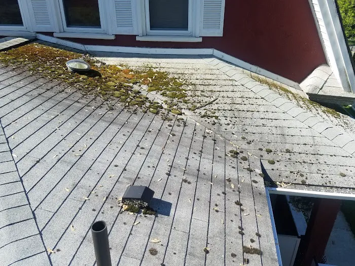Superior Roof Cleaning Picture 7