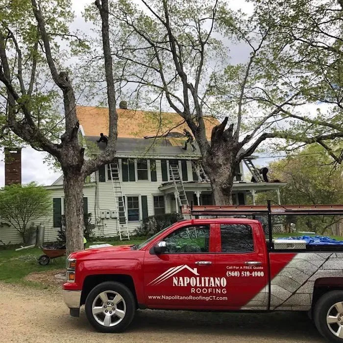 Napolitano Roofing Picture 8