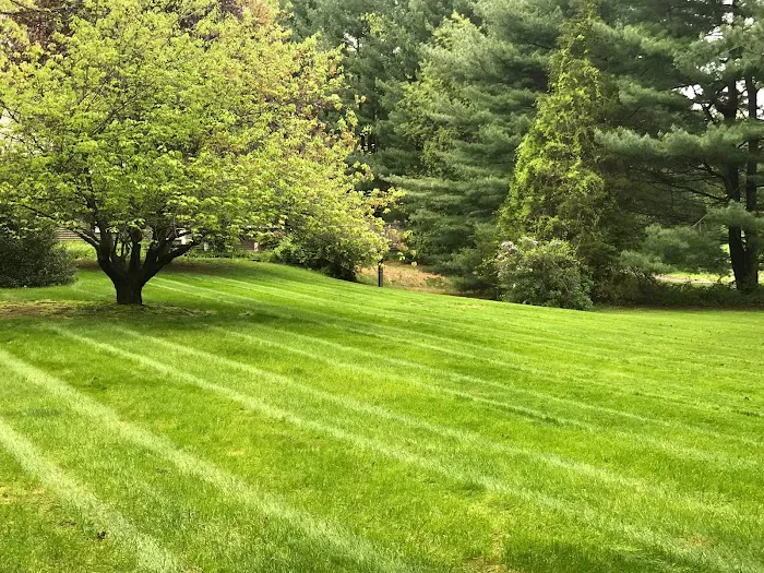 Wentworth Restoration and Home Improvement LLC Picture 3