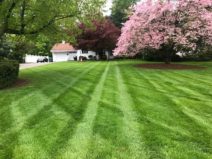 Wentworth Restoration and Home Improvement LLC Picture 8