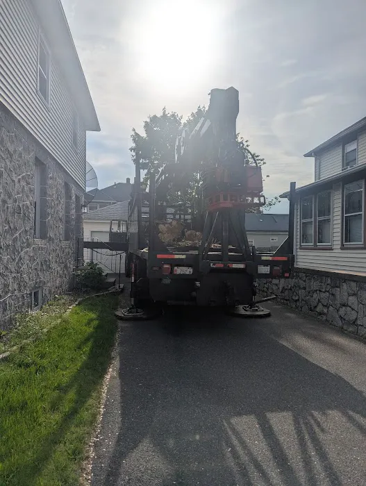 Modern Home Improvement Picture 3