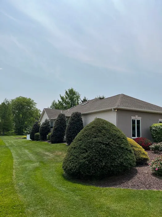 DePalma Roofing Picture 10