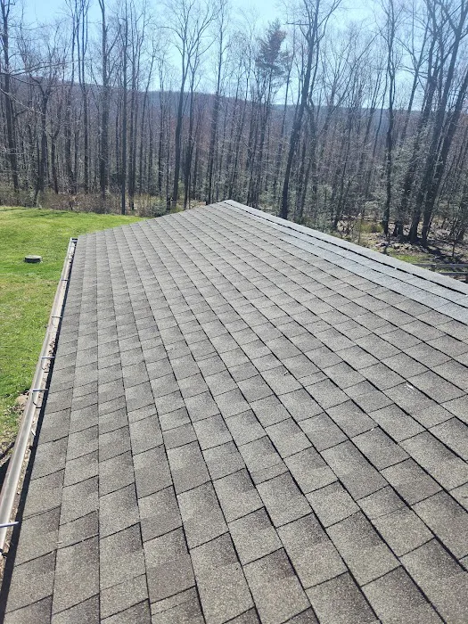 Professional Construction Solutions LLC Picture 5