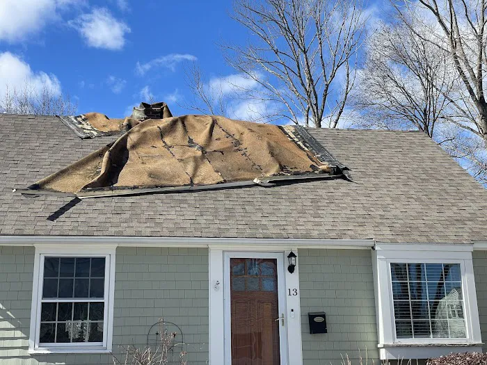 Professional Roofing Company Picture 3