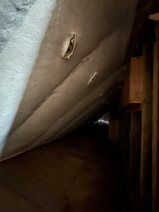 Seacoast Renovation and Insulation Picture 5