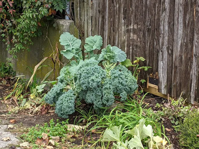 Ring's End Picture 10