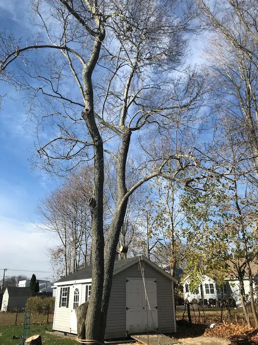 Bosco Construction LLC Picture 1