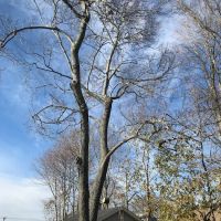 Bosco Construction LLC ico