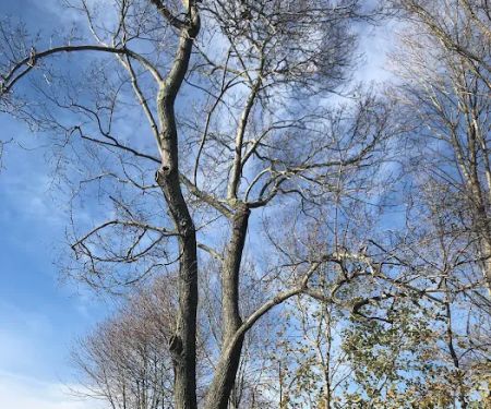 Bosco Construction LLC