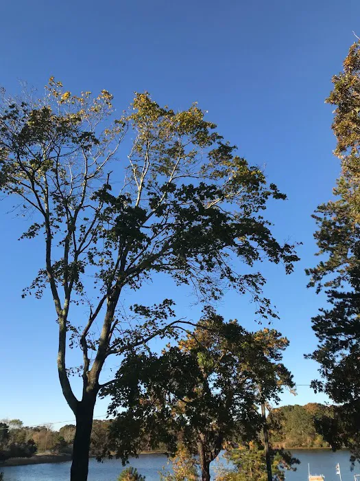 Bosco Construction LLC Picture 3