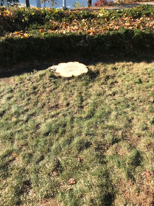 Bosco Construction LLC Picture 7