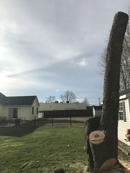 Bosco Construction LLC Picture 6