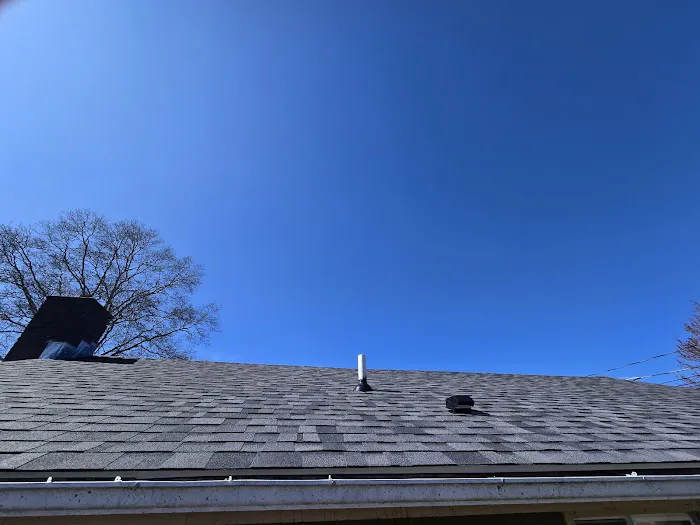 Rhino-Back Roofing Picture 1