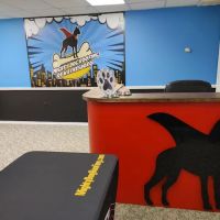 Mighty Dog Roofing of Waynesboro ico