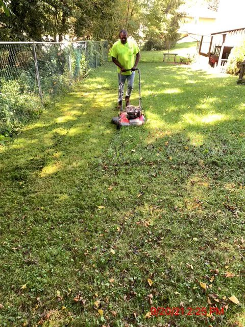 S & S Salvage Preservation LLC Picture 10