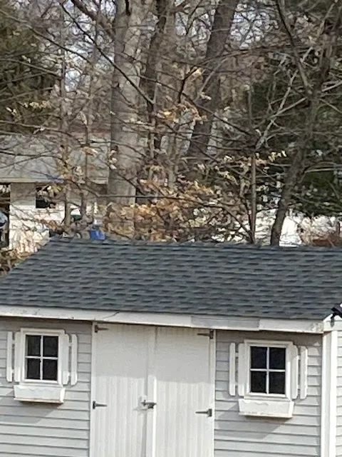 Ciriello And Sons Construction LLC Picture 8