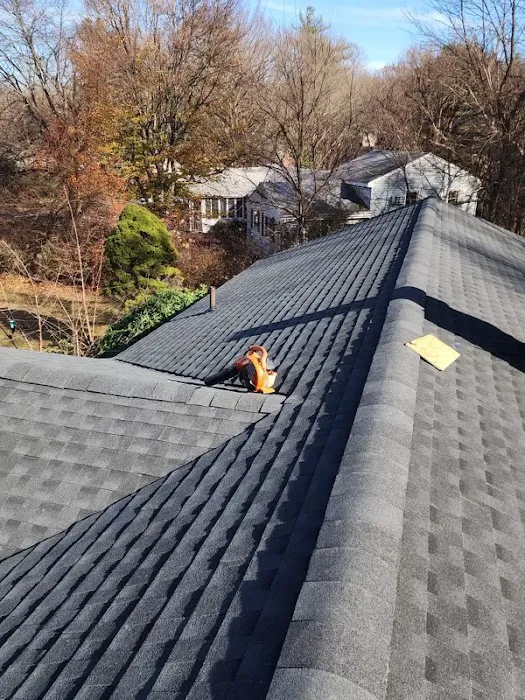 Total Roofing Picture 3