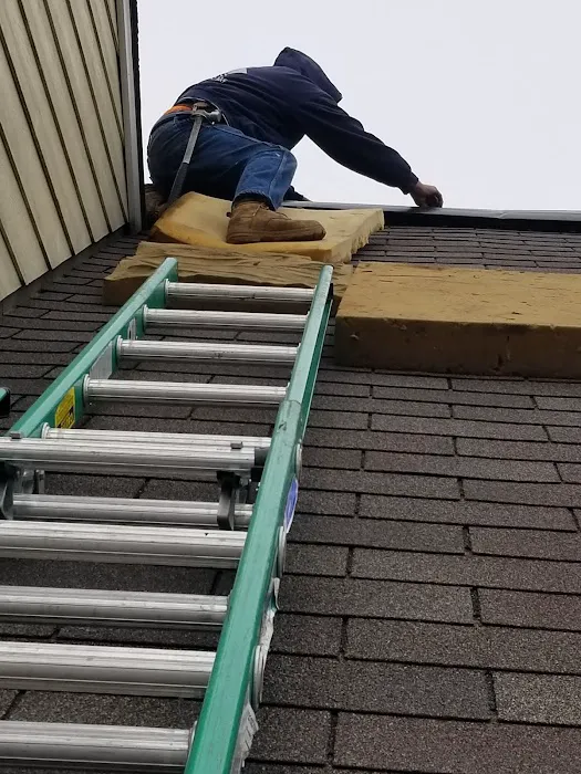 HARTZ ROOFING Picture 6