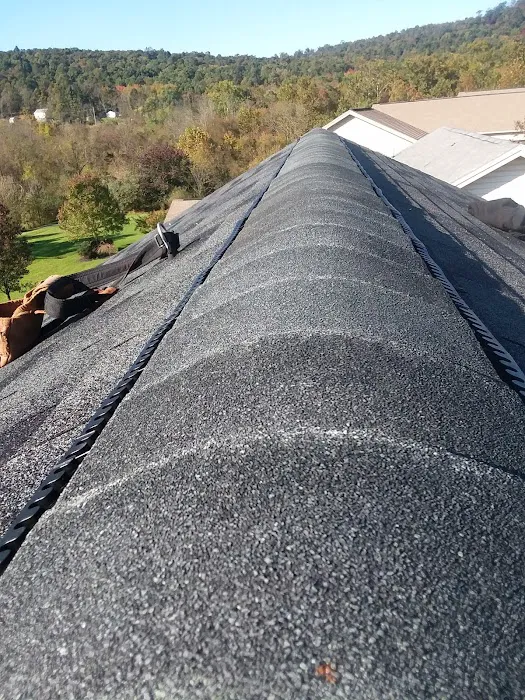 HARTZ ROOFING Picture 10