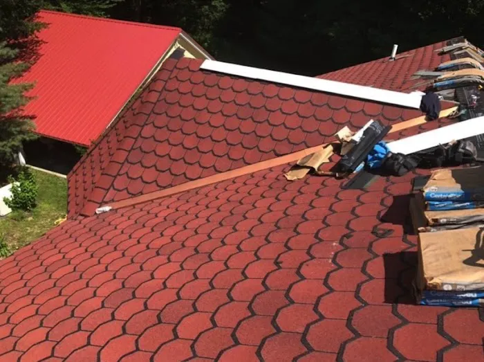 Roof Doctors Picture 2