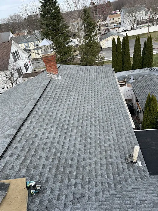 Roof Doctors Picture 5