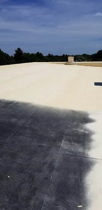 All American Roofing Solutions Picture 3