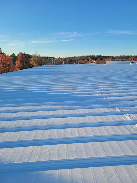Lionheart Roofing Picture 3