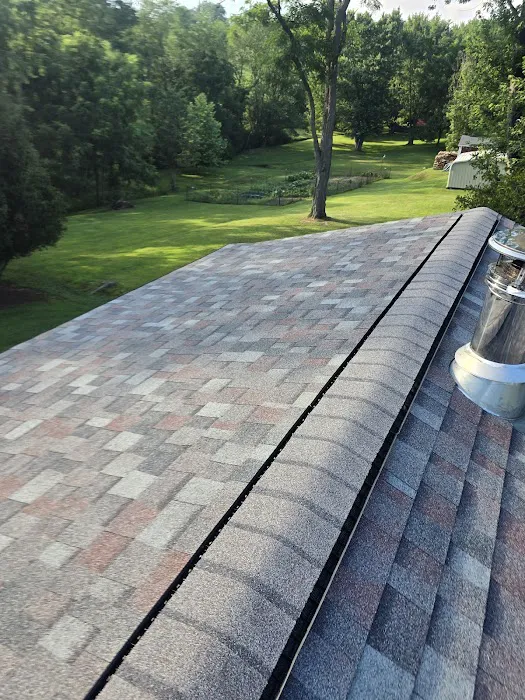 Lionheart Roofing Picture 2