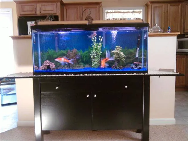 EW CARPENTRY Picture 7