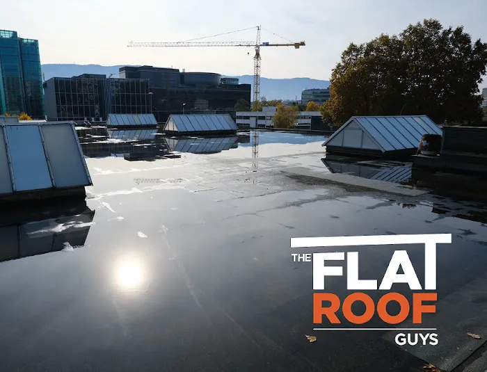 The Flat Roof Guys Picture 5